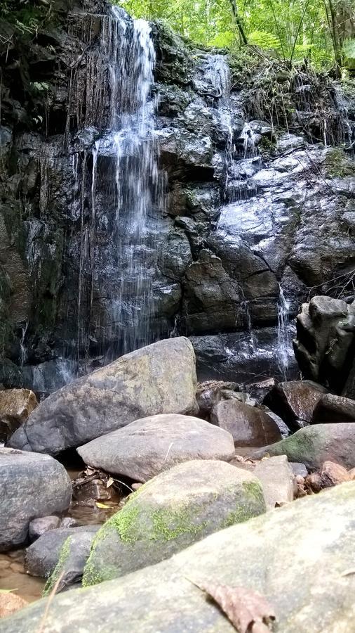 Sinharaja Forest Sanctuary Deniyaya Kültér fotó
