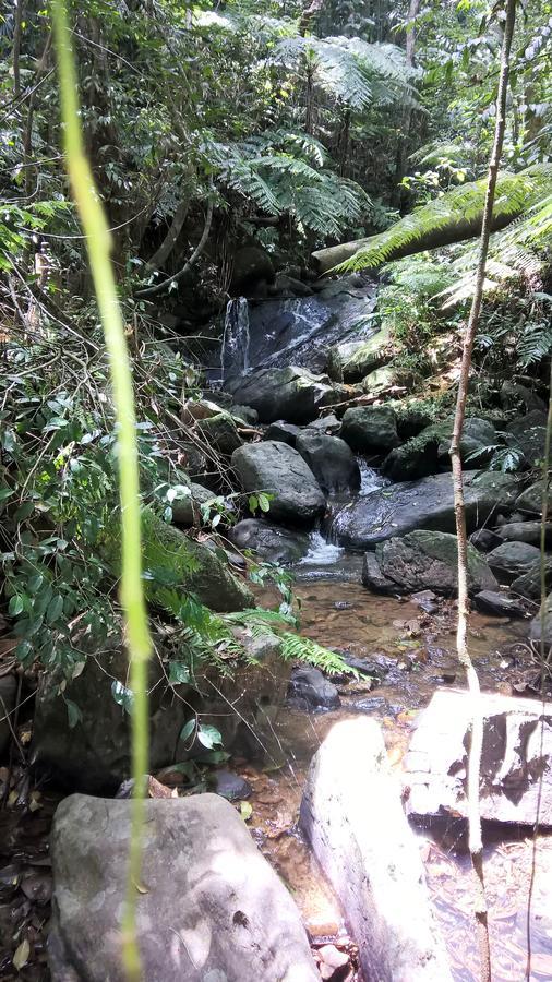 Sinharaja Forest Sanctuary Deniyaya Kültér fotó
