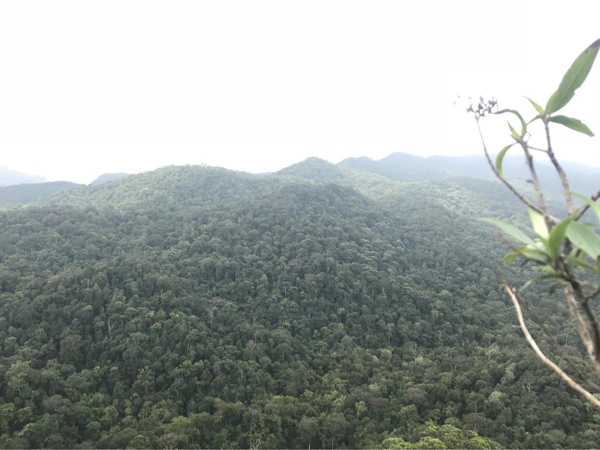 Sinharaja Forest Sanctuary Deniyaya Kültér fotó